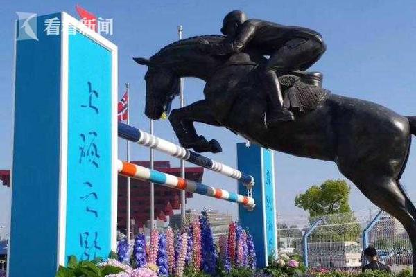 鳄鱼掉落高速后睡着 男子执意带回家_云服务器活动