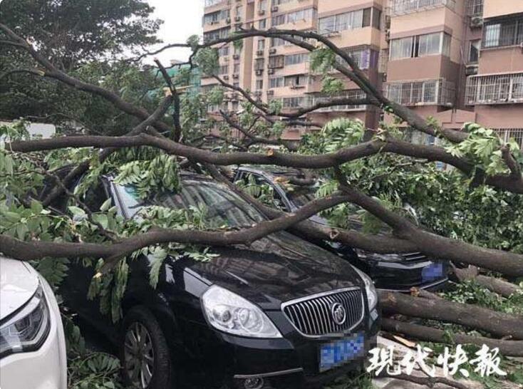 圣保罗时装周男模摔倒当场猝死_云电脑文件共享