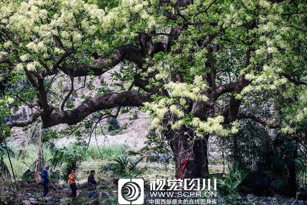 孩子的智商能靠这种办法看出来?_9929建站