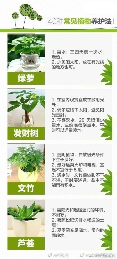 亿万枭宠：宋医生，别来无恙_9929双ISP