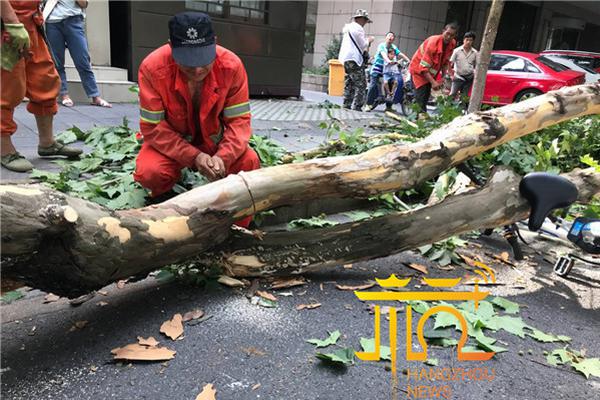 直播课成课后服务风景线_云电脑降配