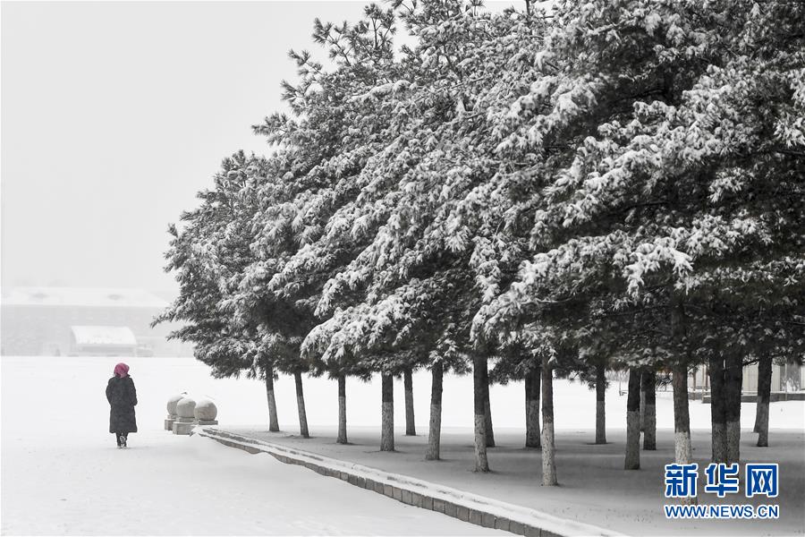 女子开车和闺蜜玩自拍 录下死前惊恐表情_CN2 GT线路特点
