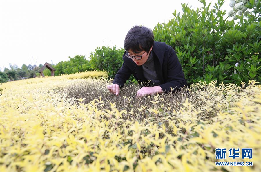 英国首相:重塑英国梦 承诺未来要保障社会公平_挂机宝加速器