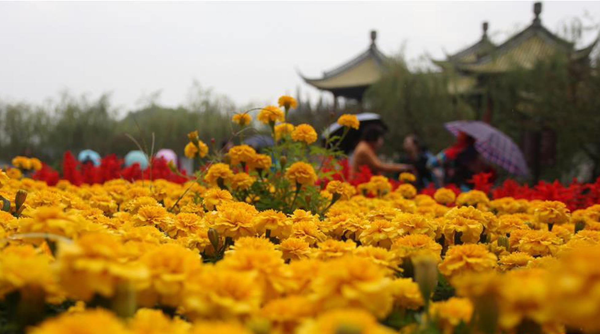 天皇即位必不可少 神秘的“三神器”究竟什么样？_9929性价比之王