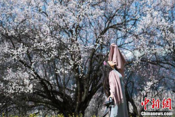 康美药业正在挑战资本市场的底线_CN2服务器推荐