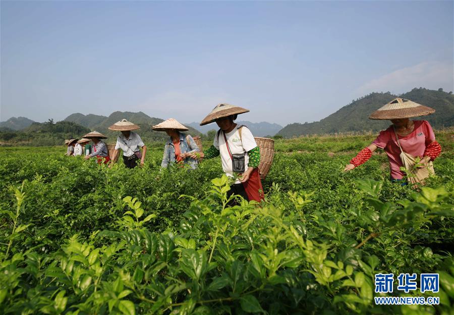 2025年双11云服务器：爆款配置3年特价，即刻抢购_云服务器迁云补贴