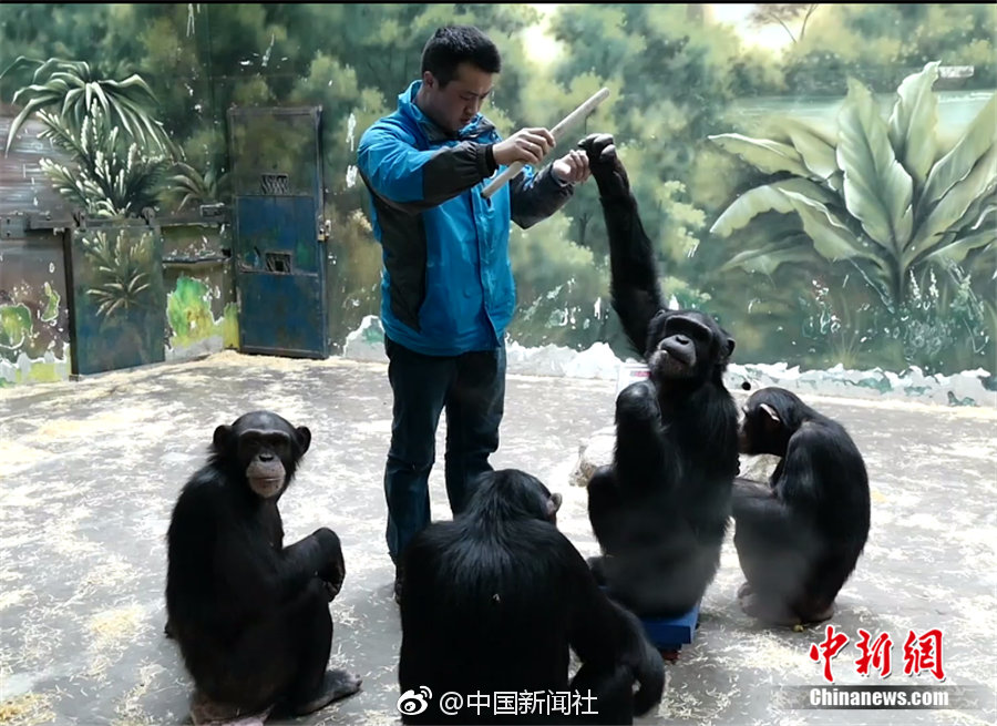 诸天至尊:纨绔与英雄之差_云电脑办公