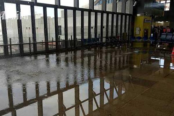 带娃哈佛毕业厉害在哪_9929带宽充足