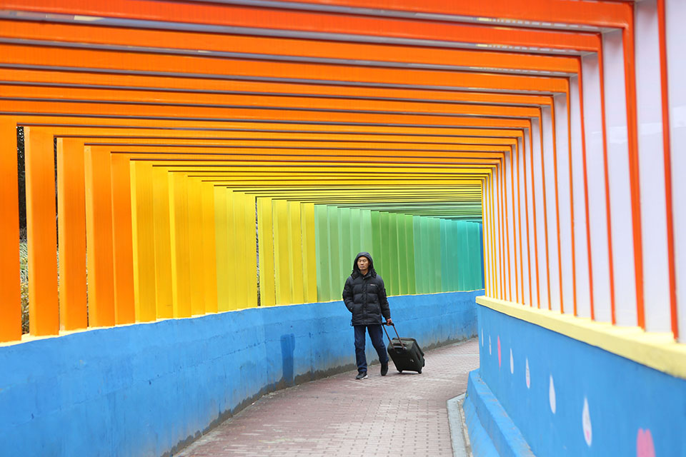 社保缴费比例今起下降至16% 事关你的钱袋子_CN2服务器真实评价