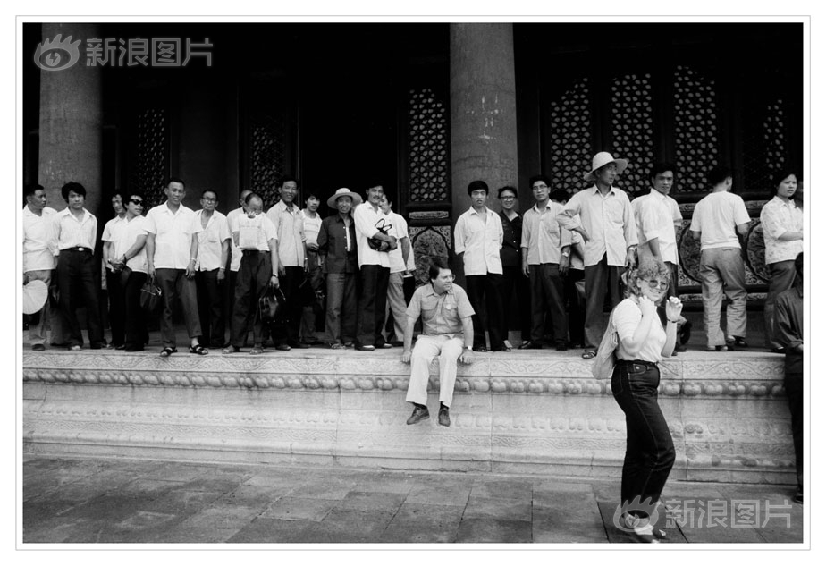 走进艺术家韦冬的“鹿之国”_9929企业专线