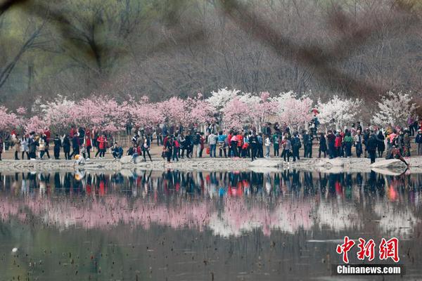 中国大学综合实力100强_CN2云主机