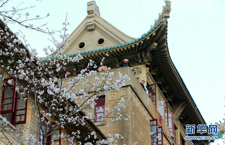 神器中欧冠热刺负1赔3.2_CN2服务器大带宽