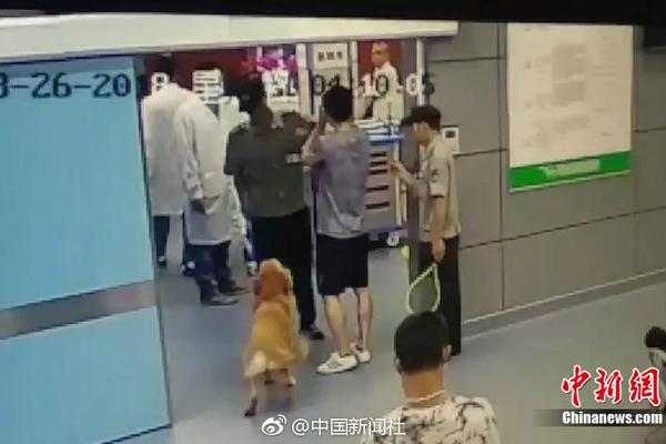 超期待 杨紫琼加盟《阿凡达》续集_CN2服务器价格