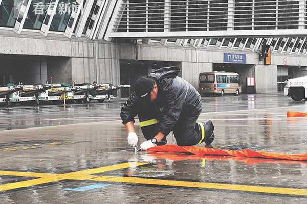 [征集]春色满园 美景常在_香港CN2服务器用途