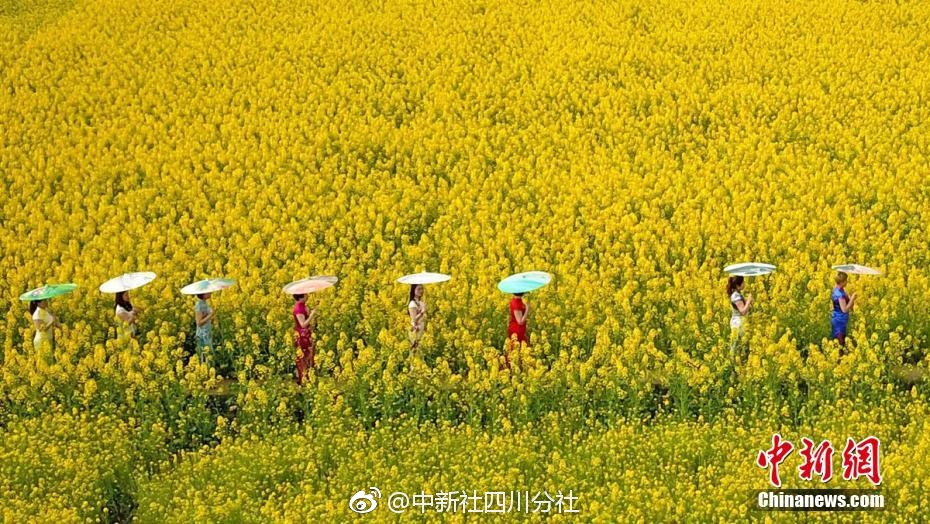 劳动最光荣：快来看几种传统农具的力学原理(图)_小程序后端服务器