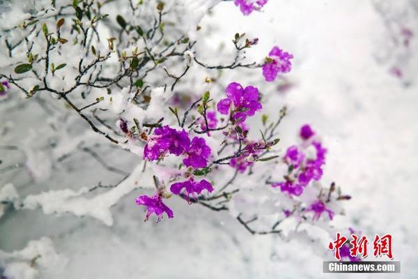 劳动最光荣：快来看几种传统农具的力学原理(图)_小程序后端服务器
