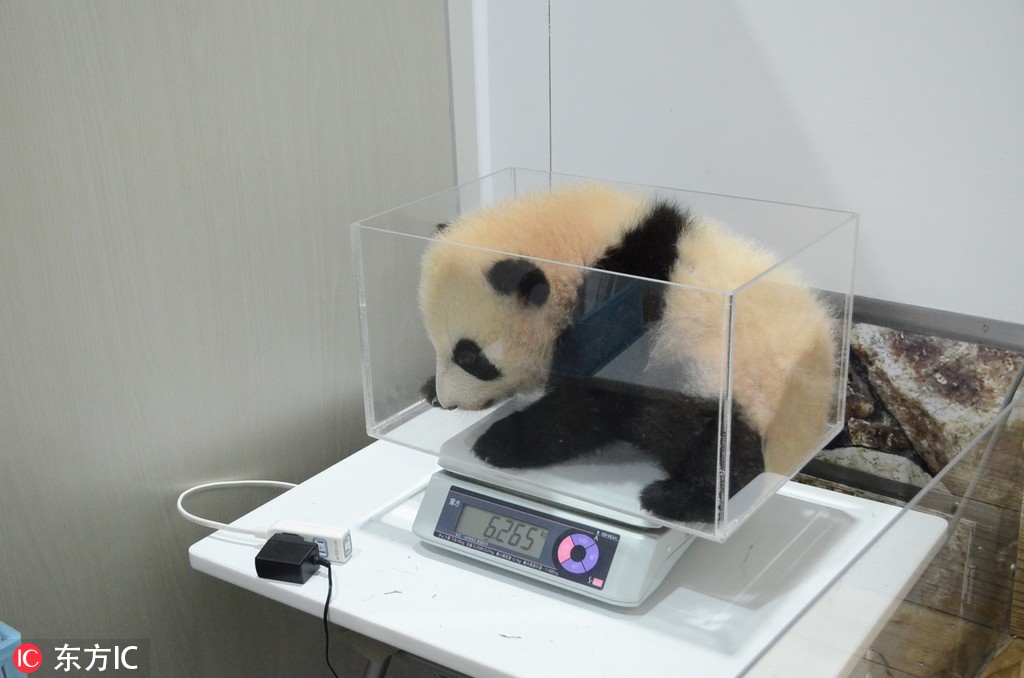 这些食物嘌呤低，但痛风患者也要“忌口”，吃多了容易让尿酸超标_CN2服务器口碑