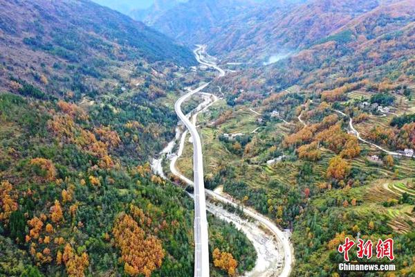 利比亚法院审判IS成员时遭袭 4名安全人员死亡_独立IP挂机宝
