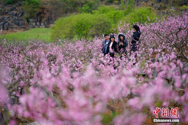 这样说话的人情商最低_云电脑价格