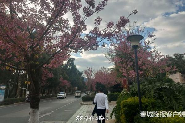 替嫁娇妻:偏执总裁宠上瘾_三网CN2服务器