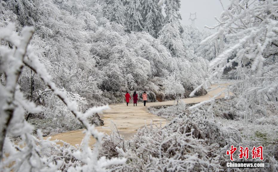 单身太久会有什么表现_CN2服务器mtr