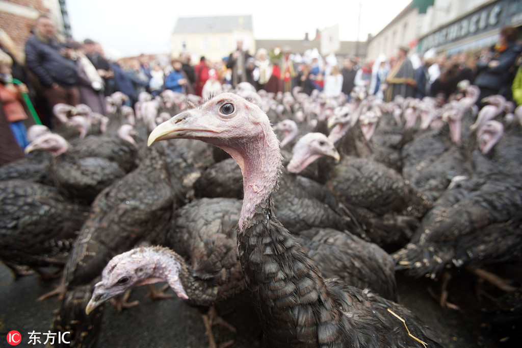 武则天信任的宠臣来俊臣,被处死时为何要用木球塞嘴?_云电脑对比
