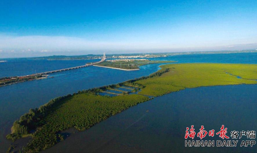 佩德罗独造四球 切尔西总分5-3斯拉维亚晋级_多终端协同