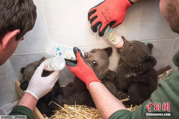 医护“手相”:这个科室每人每天洗手100次_9929持续集成