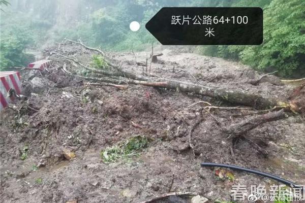 幸福小二居都市栖息地