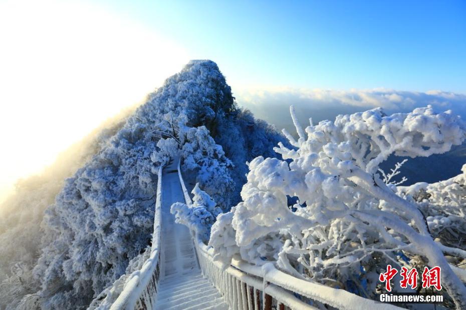 广西云服务器哪家好_9929评测