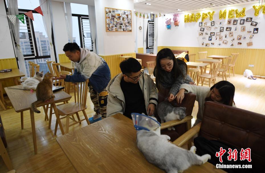 考古探秘：5000多年前古人就会使用指纹_云服务器38元/年