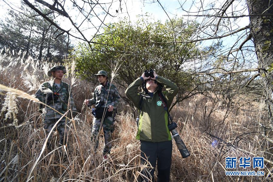 官宣!苍井空诞下双胞胎_挂机宝挂机器人