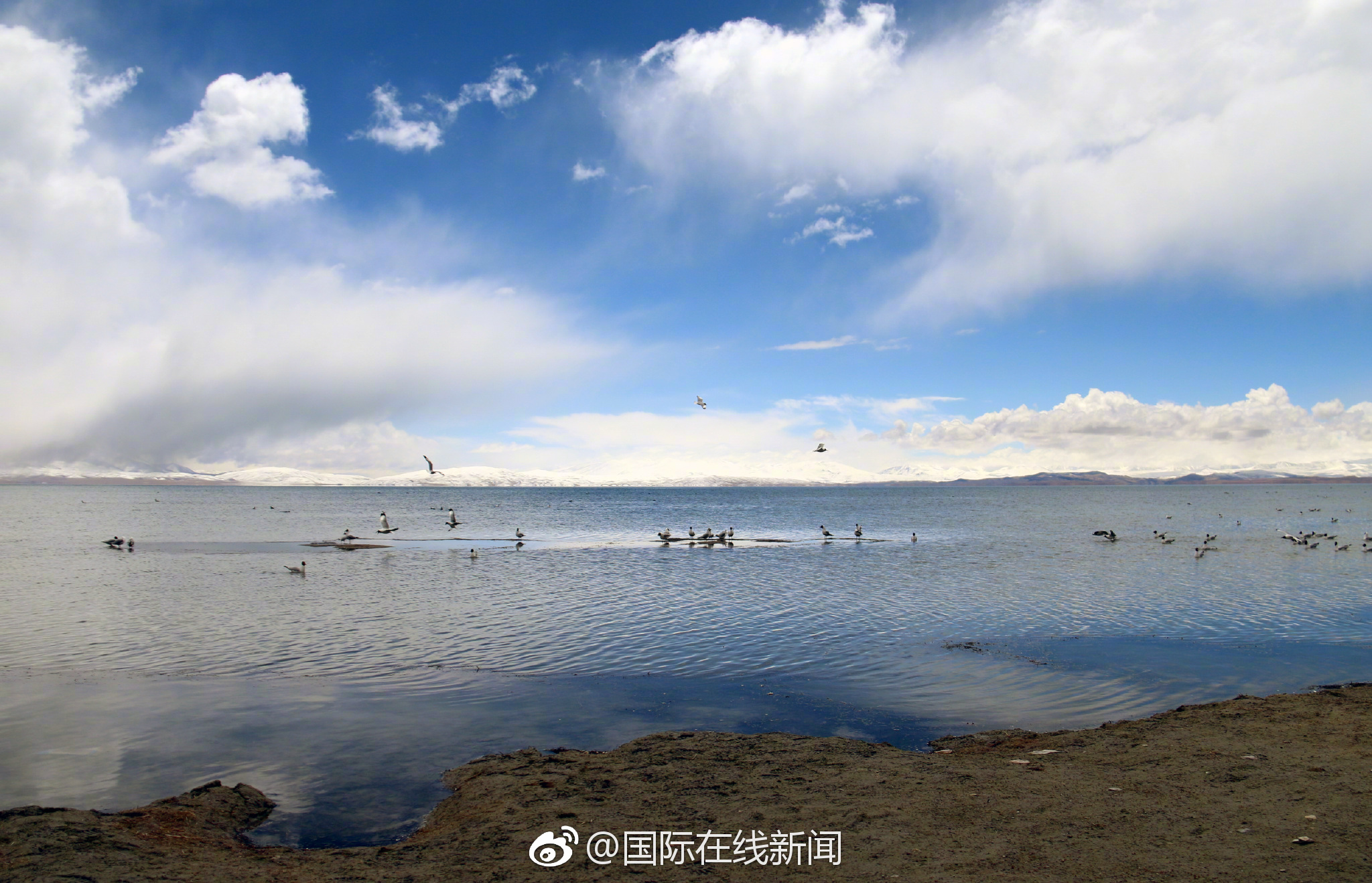 一场海战催生现代天气预报