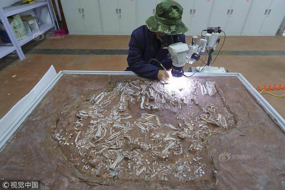 法国人鱼之水奢华甲油套装_9929三网回程