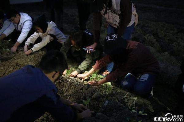 鹅眼:30年采矿青山绿水变深坑,转型旅游开发又成烂尾_云服务器2核4G