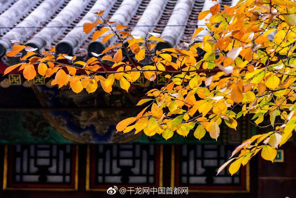 刑满释放人员持刀猛刺狱警致死 被提起公诉_CN2服务器靠谱吗