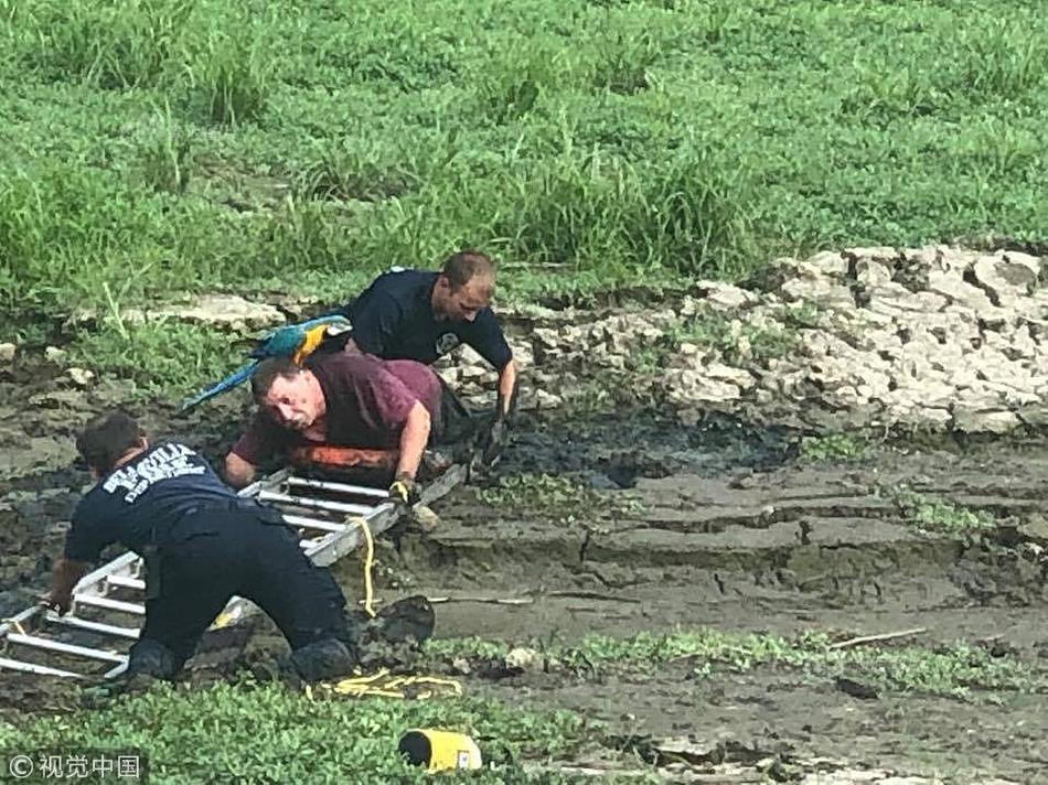 上海民校为何受“热捧”？_云电脑家庭共享