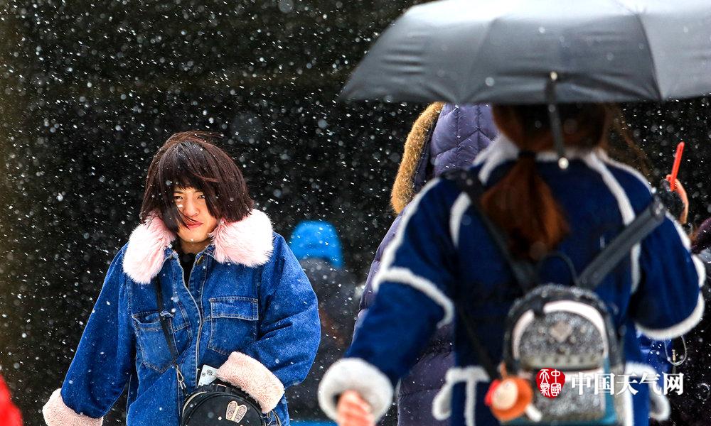 收藏日本神社识别指南 秒变旅游达人_阿里云99计划