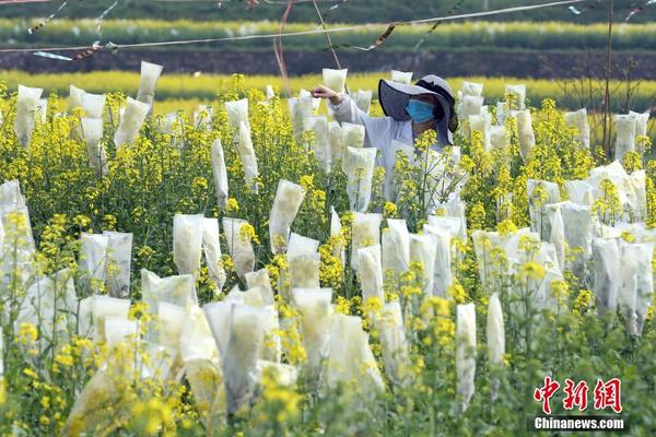 谈恋爱太累,一个人太寂寞_CN2服务器高峰时段