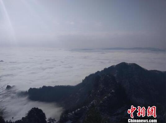 金蝶架设云服务器吗_9929性价比之王