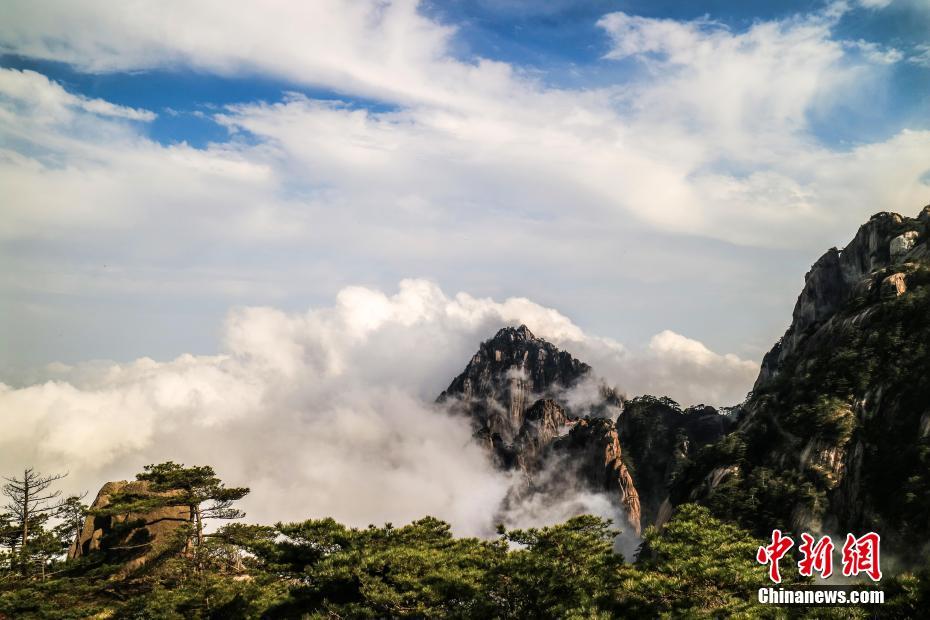 哈登重提莱纳德遭勇士垫脚:大家知道发生了什么