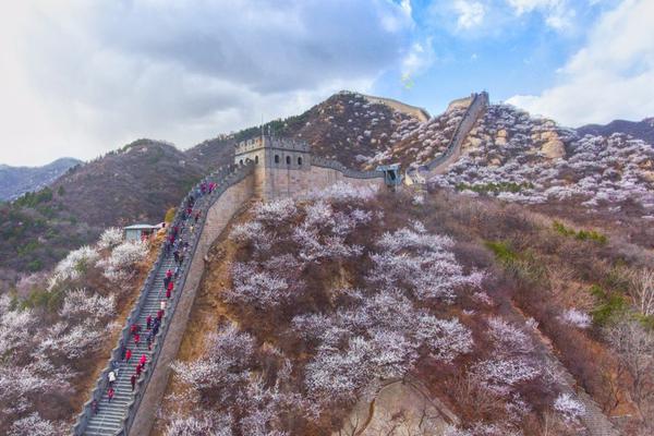 鳄鱼掉落高速后睡着 男子执意带回家_CN2服务器线路测试