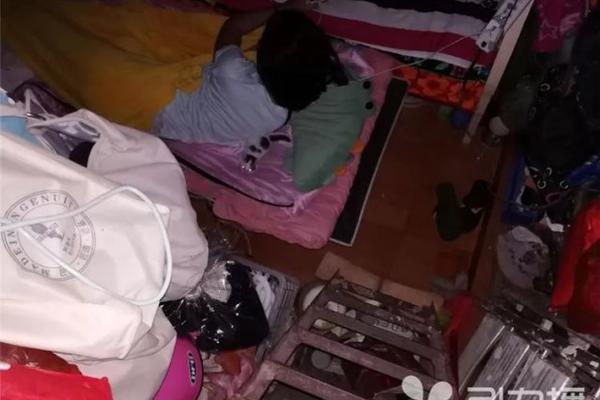 河南云服务器哪家好_9929外贸网站
