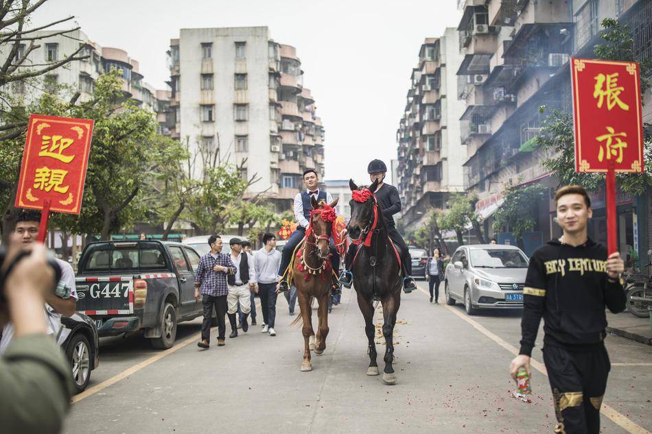 危险而美丽 荷兰探险家拍濒危的神奇冷血动物_云电脑设计