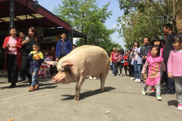 阿斯利康将两家药企告上法庭_9929测试IP