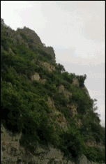 袁立晒怀抱宝宝照片引猜测