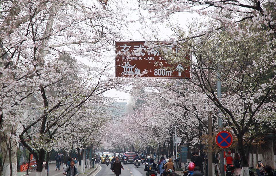 企业邮箱哪个安全_云服务器自动伸缩