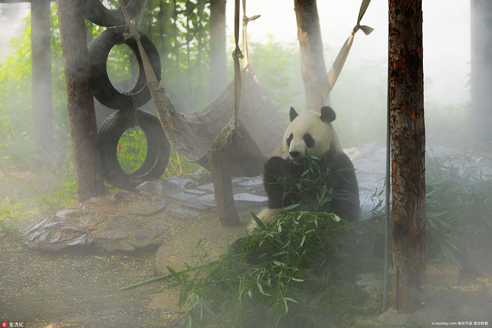 一纸婚约,打破年轻小伙的生活_云服务器镜像