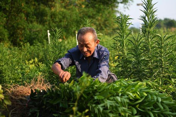 IG宁王泄漏训练赛，GRF队员很不满：他不该讨论韩国队！_云服务器64G内存