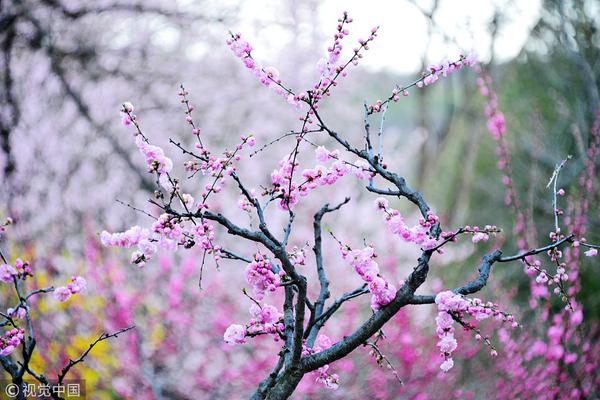 为中国7000万同志正名和服务_CN2数据备份